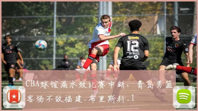 CBA球馆漏水致比赛中断，青岛男篮客场不敌福建_布里斯科_1