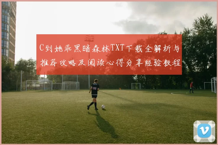 C到她乖黑暗森林TXT下载全解析与推荐攻略及阅读心得分享经验教程