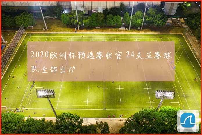2020欧洲杯预选赛收官 24支正赛球队全部出炉