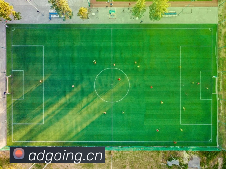 开云(中国)Kaiyun·官方网站 - 登录入口官网发展历程